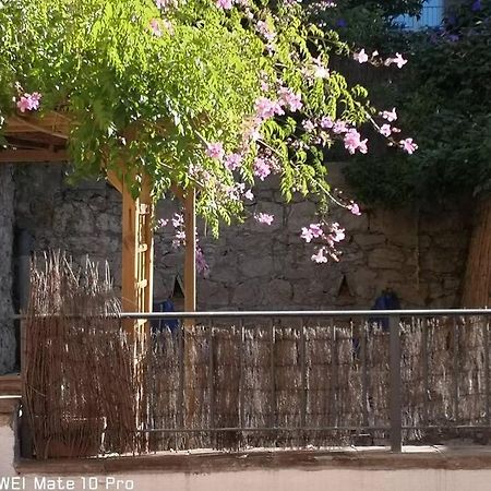Appartement Avec Jardin Privatif Centre Ville 耶尔 外观 照片